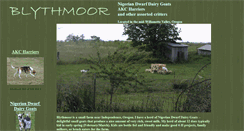 Desktop Screenshot of blythmoor.com