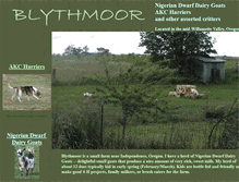 Tablet Screenshot of blythmoor.com